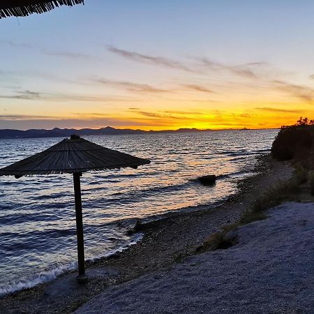 Apartments Vila Moli Bibinje Εξωτερικό φωτογραφία